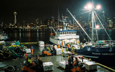 Seattle Harbor After Dark: Fresh Seafood Arrives