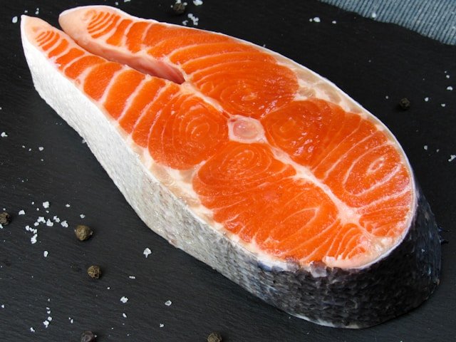 salmon