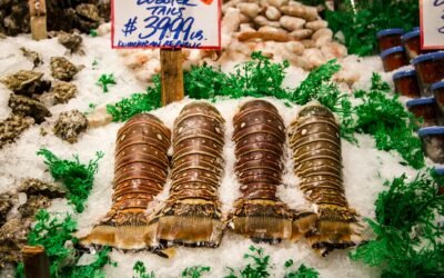 Local Seafood vs Imported Seafood in Seattle