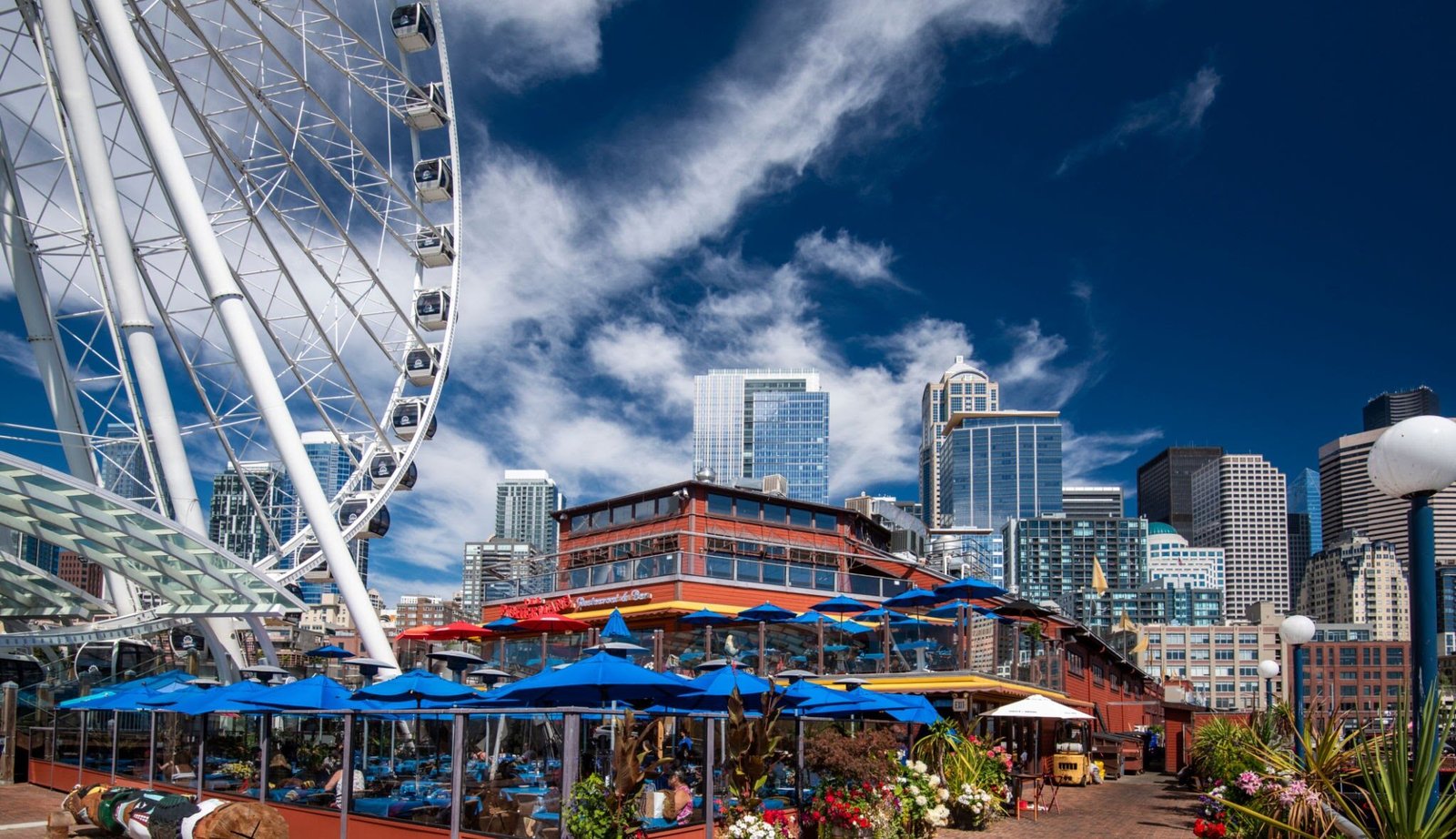 Seattle’s Historic Piers: From Trade Hubs to Tourist Attractions