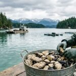 shells in seattle